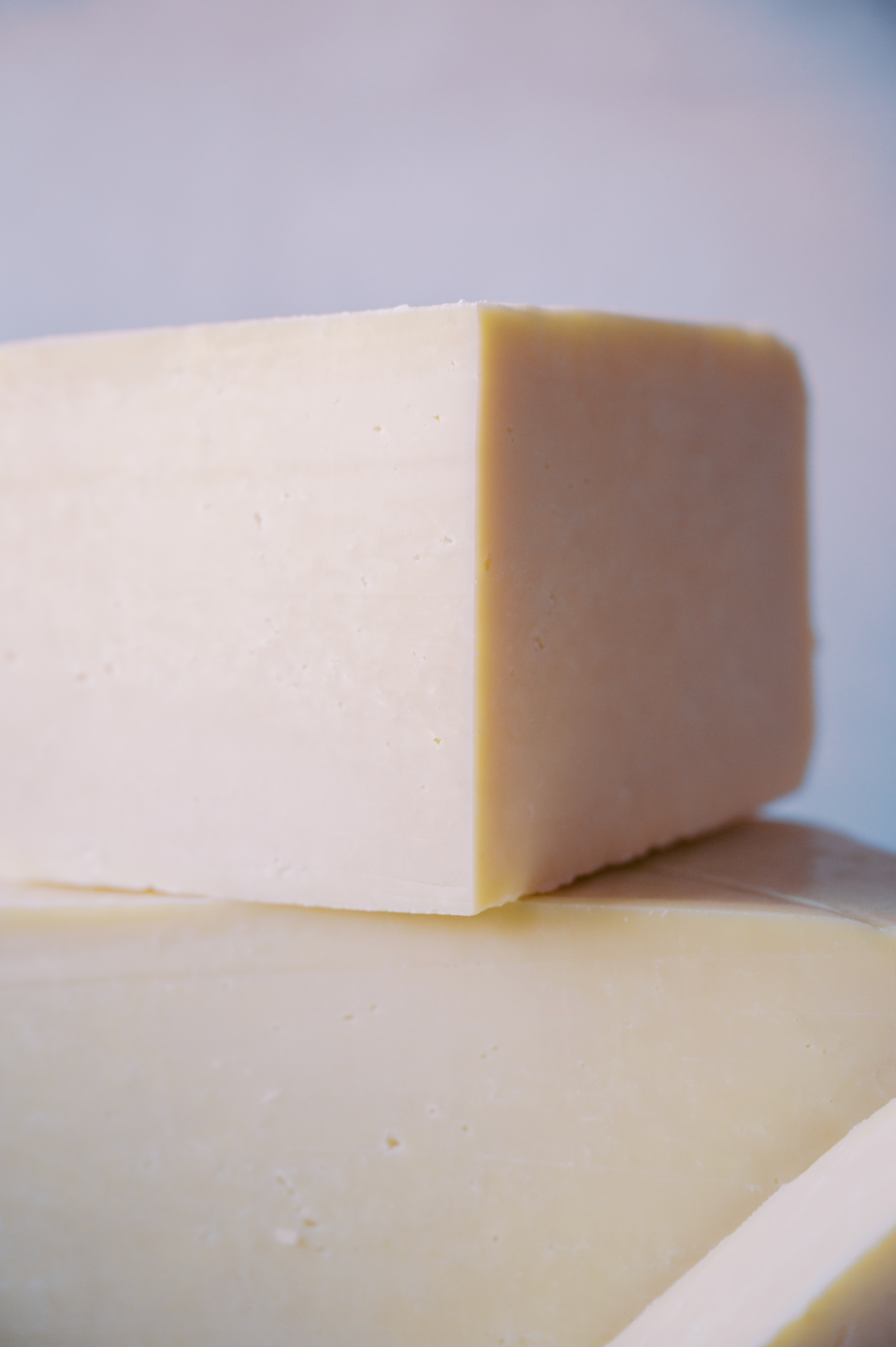 Landmark Creamery Fontina, savory and creamy cow milk cheese