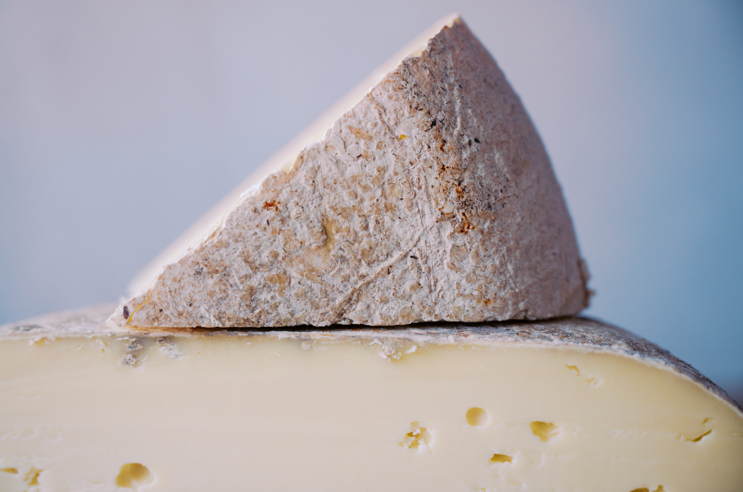 Landmark Creamery Tallgrass Reserve, cave-aged cow milk cheese