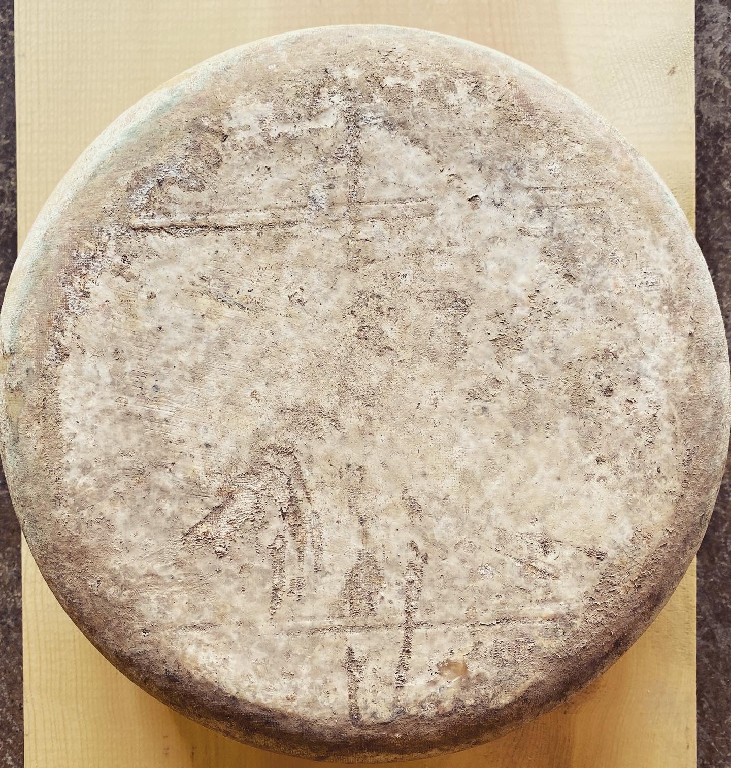Landmark Creamery Tallgrass Reserve, cave-aged cow milk cheese