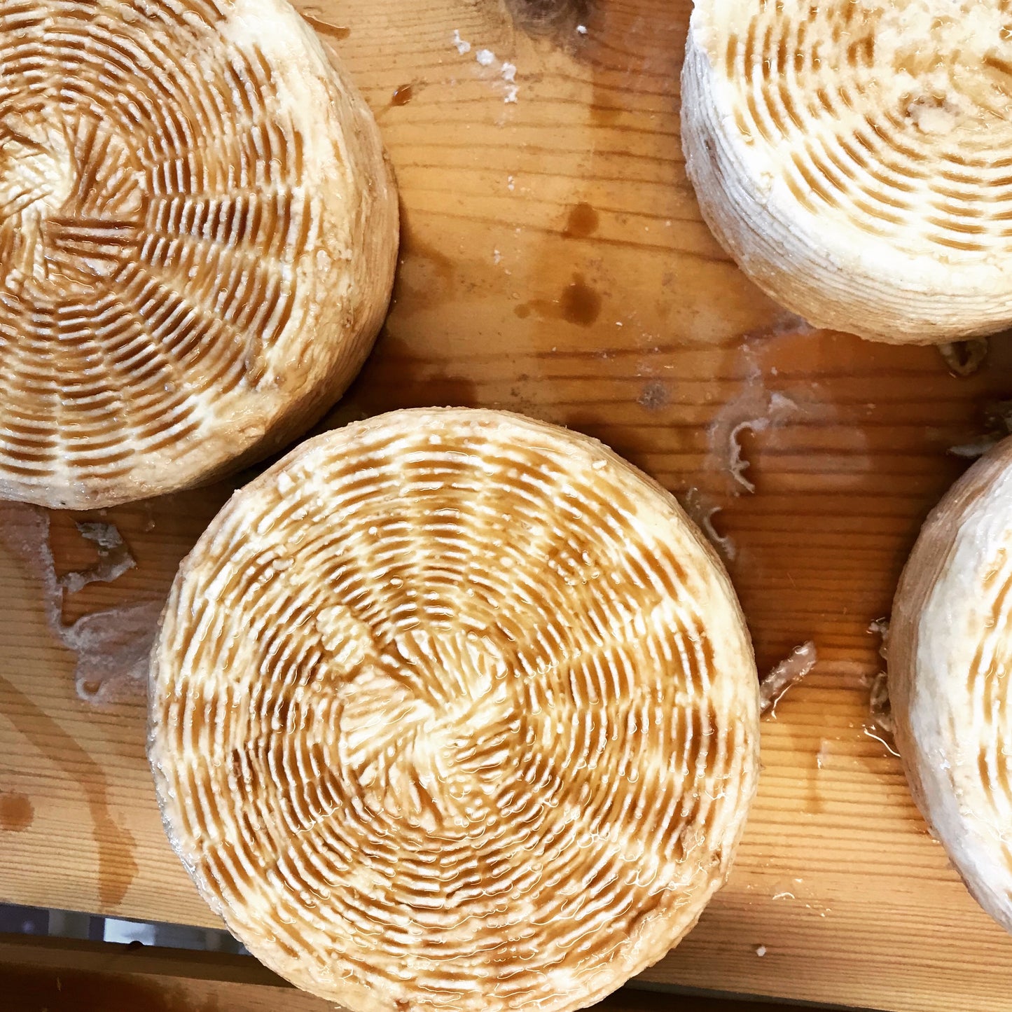 Landmark Creamery Rebel Miel, beer washed sheep cheese